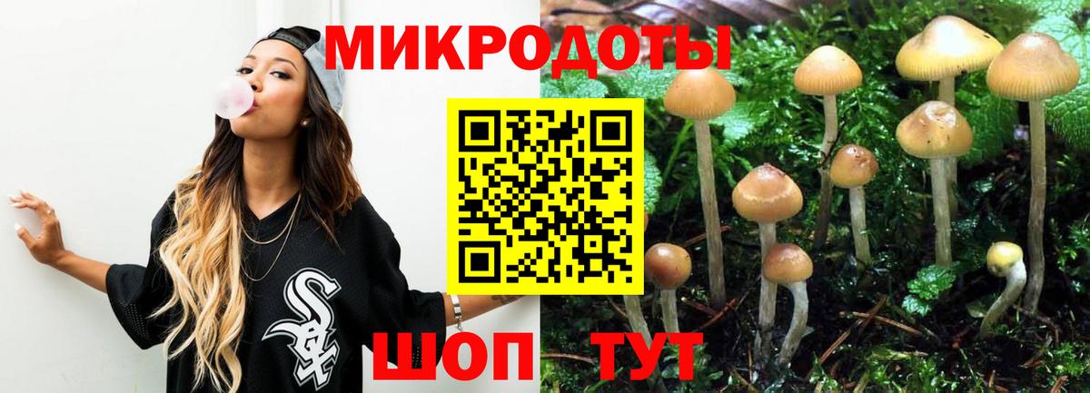 Галлюциногенные грибы ЛСД Луховицы