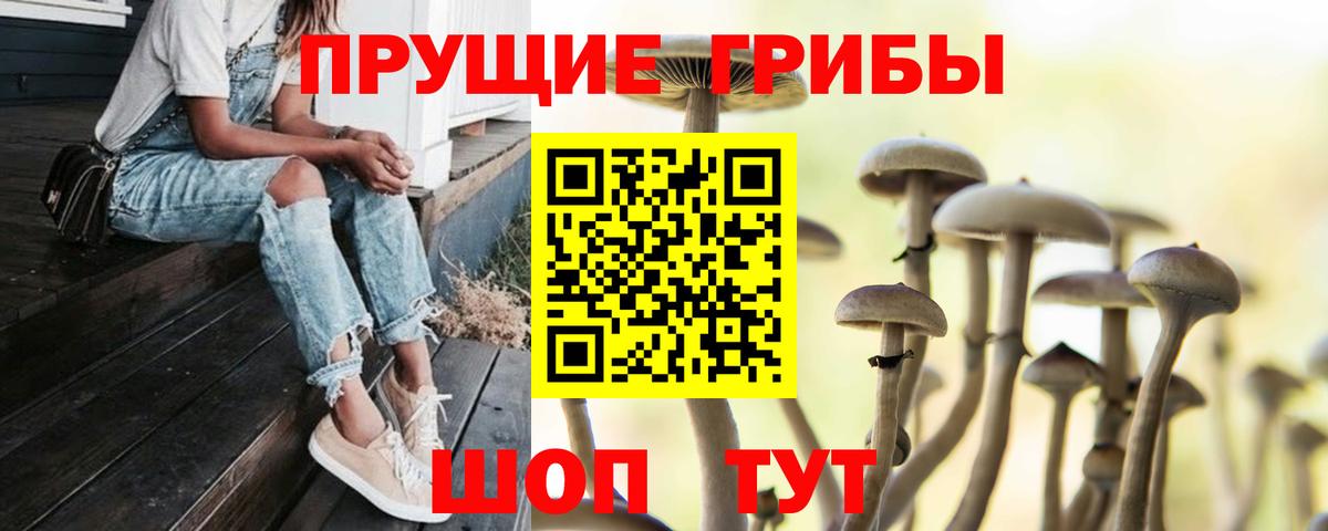 Псилоцибиновые грибы мицелий Луховицы