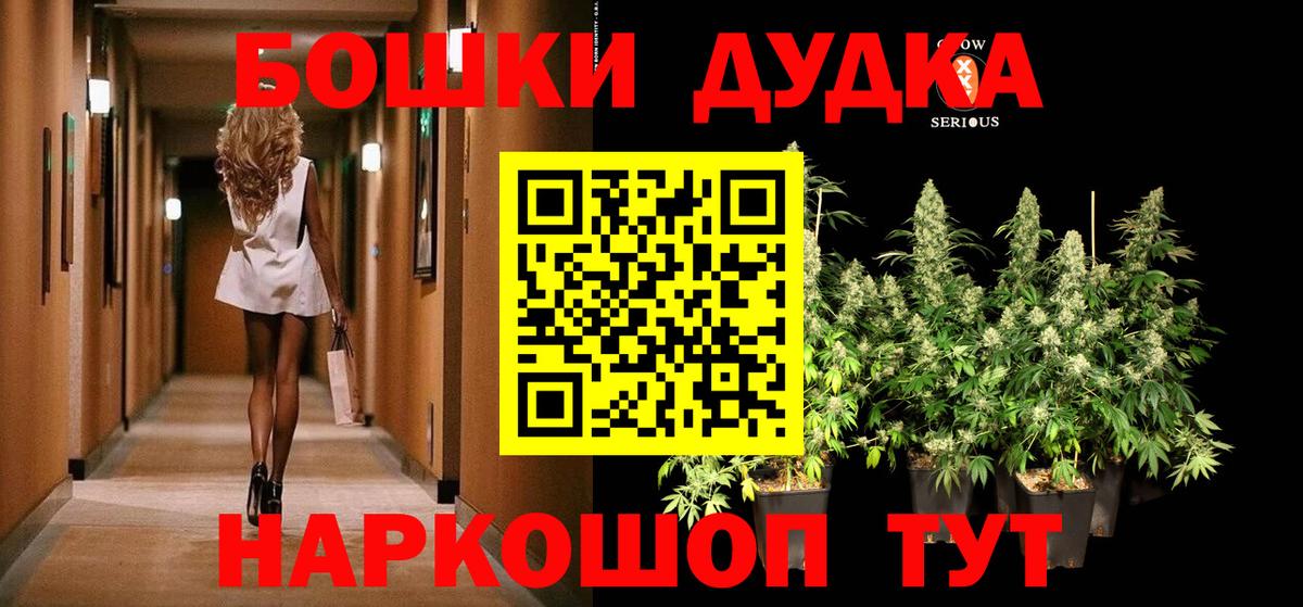 Каннабис сатива  Бошки Шишки Bruce Banner  Канабис планчик  Луховицы  Канабис MAZAR 